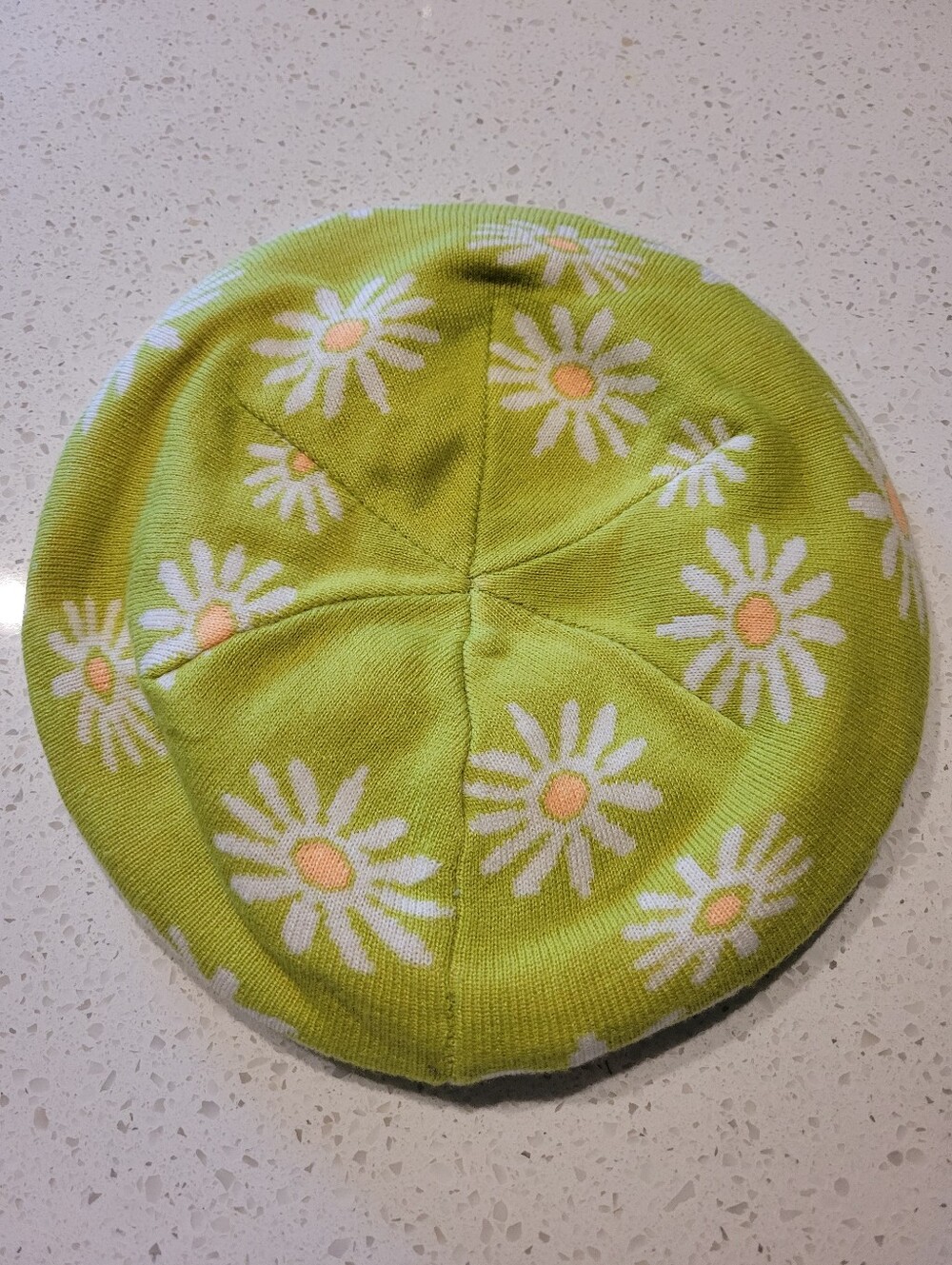 Green Sweater Beret with Daisies, fleece-lined.